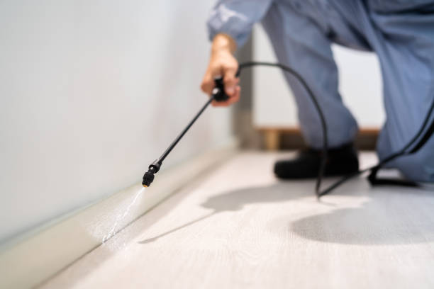 Licensed Pest Control service in Paw Paw, MI - Show Me Pest Control