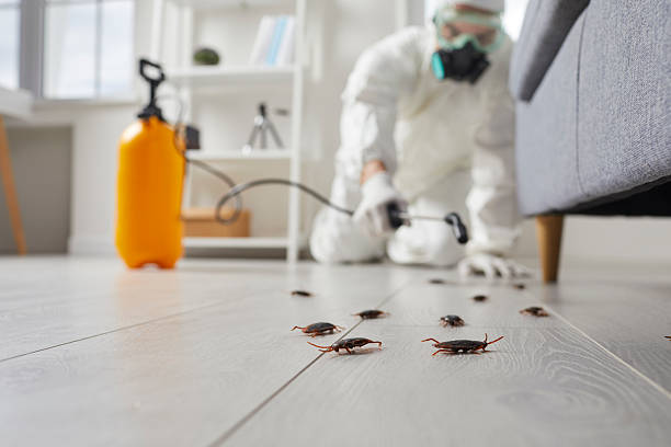 Post-Treatment Bed Bug Interceptor Monitoring in Paw Paw