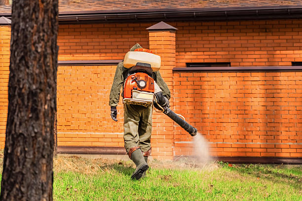 Bed Bug Clearance Verification and Documentation in Paw Paw